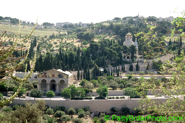 1020 Mount of Olives,